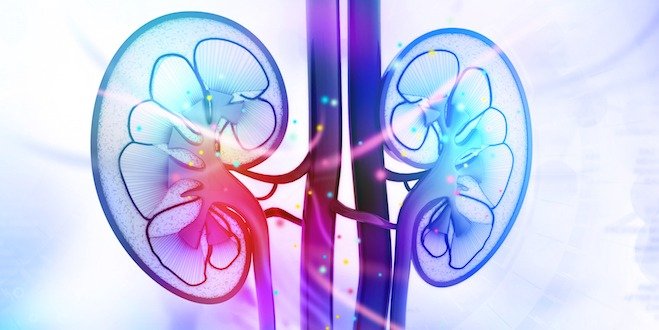 Kidneys and diabetes