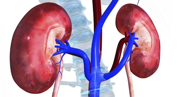 kidney damage