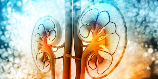 diabetes and kidney disease