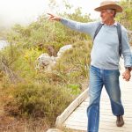 elderly diabetes