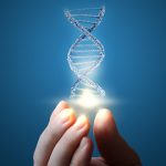 Genetics of diabetes