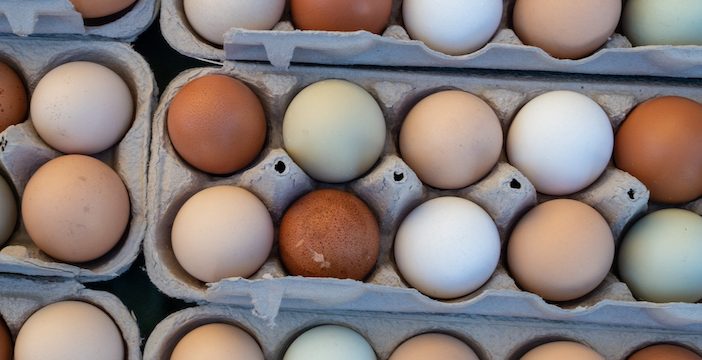 diabetes and eggs