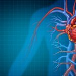 What is the connection between diabetes and cardiovascular disease?