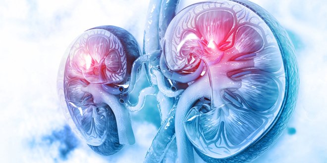 reverse kidney disease