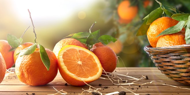 Group of oranges on basket and wooden table in field citrus fruit