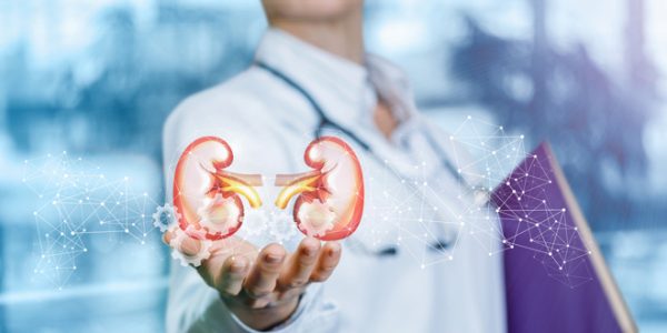 What medications are used to protect the kidneys? - Diabetes Care Community