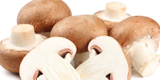 Fresh champignon mushrooms isolated on white background Mushroom