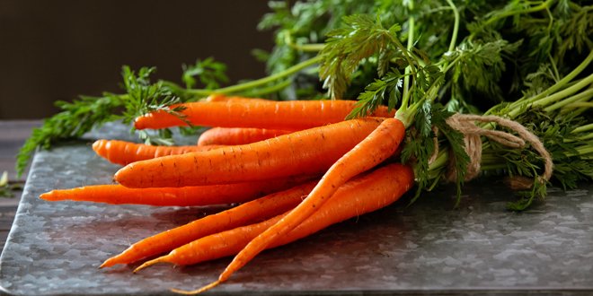 The common carrot packs a healthy punch—but moderation is key - Diabetes  Care Community