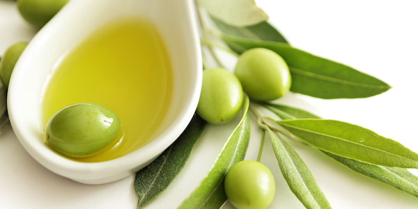 olive oil olive oil reduced mortality