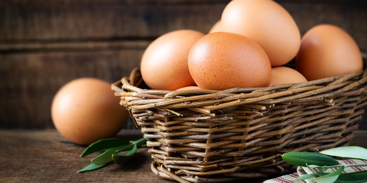 “Egg-sploring” the truth about eggs and cholesterol