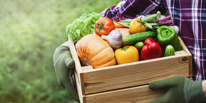 Top 10 Canadian vegetables for your diabetes diet