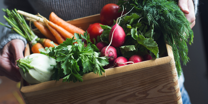 fresh vegetables from my garden