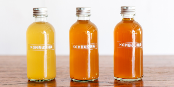 Kombucha Kombucha