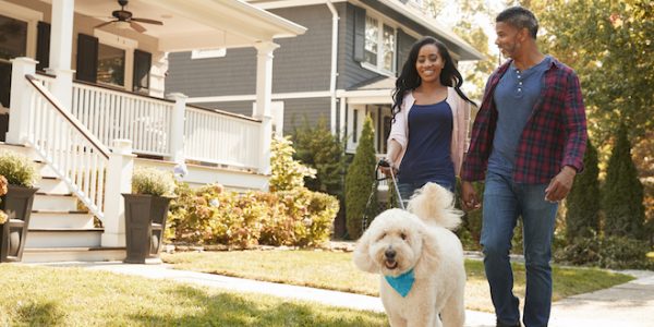 Couple Walking Dog Along Suburban Street Couple Walking Dog Along Suburban Street