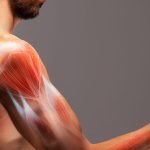 Does having diabetes lead to muscle loss?
