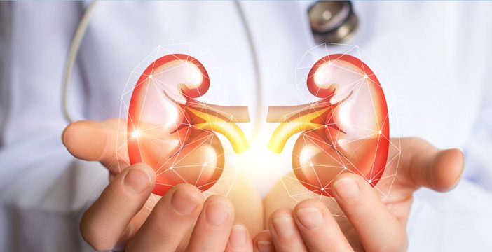kidney health