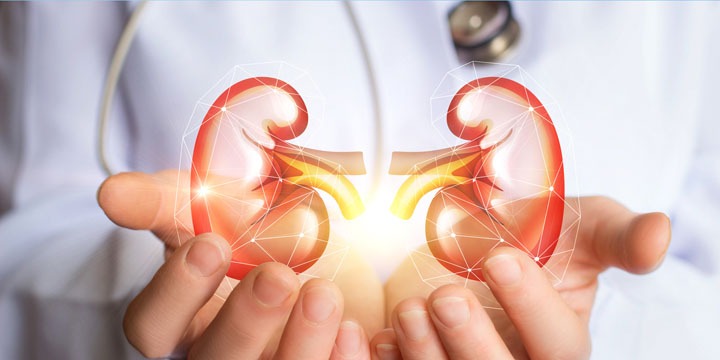 Take charge of your kidney health