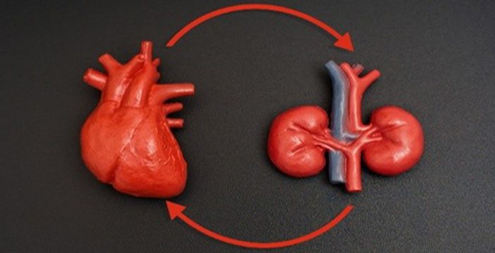 Heart and Kidney connection