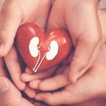 kidney and heart connection
