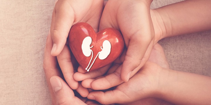 Protecting Your Heart and Kidneys with Diabetes: A Proactive Approach